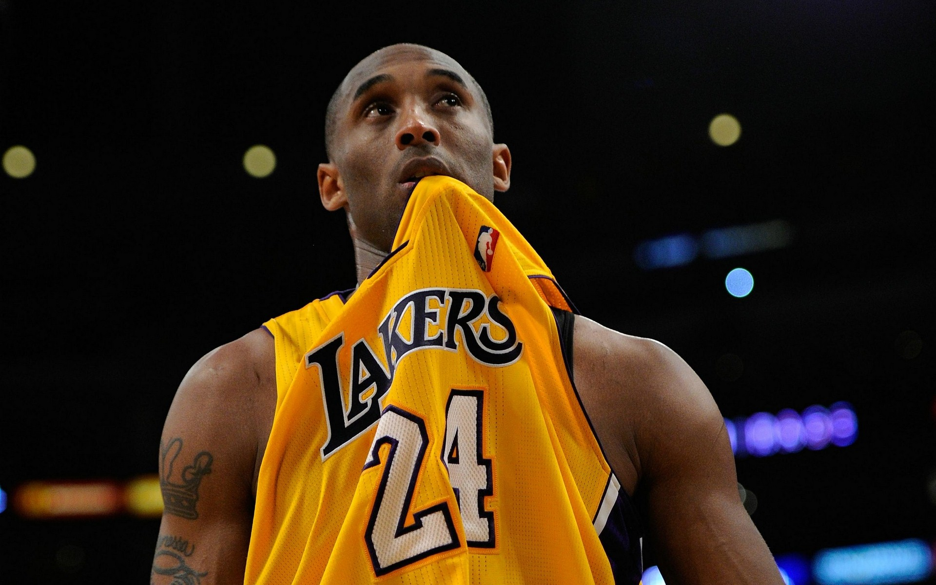 高速服务区污水处理设备